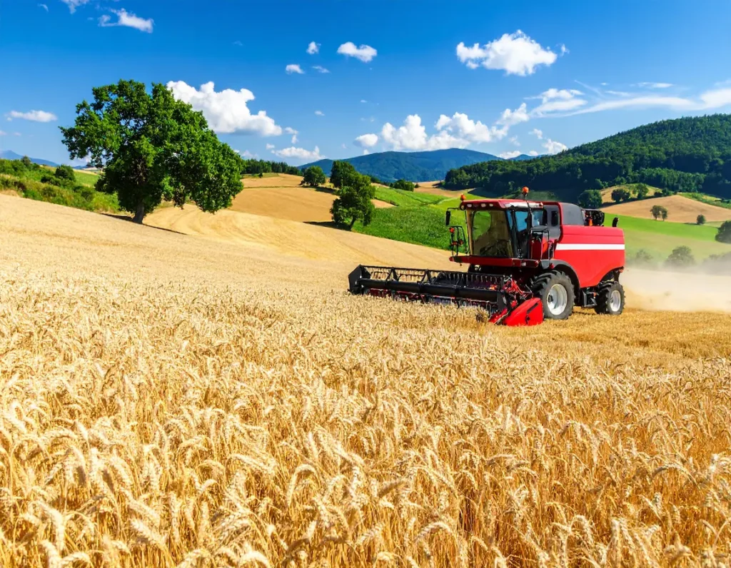 نتایج سرشماری عمومی کشاورزی ۱۴۰۳